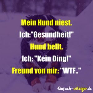WITZIGE SPRÜCHE! Über 777 witzige Sprüche zum Totlachen!