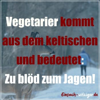 WITZIGE SPRÜCHE! Über 777 witzige Sprüche zum Totlachen!