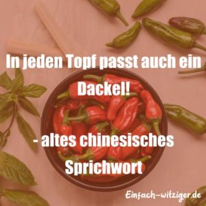Lustige Sprüche 2018 und witzige Sprüche: In jeden Topf passt auch ein Dackel! -altes chinesisches Sprichwort. Lustige Sprüche