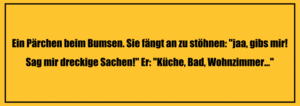 Perverse Witze: Ein Pärchen beim Bumsen. Sie fängt an zu stöhnen: "jaa, gibs mir! Sag mir dreckige Sachen!" Er: "Küche, Bad, Wohnzimmer..."