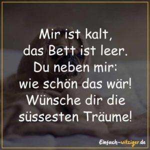 Mir ist kalt, das Bett ist leer. Du neben mir: Wie schön das wär! Wünsche dir die süßesten Träume.