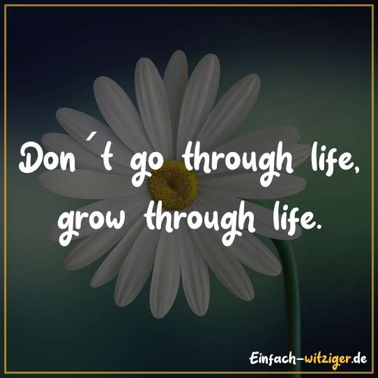 Don´t go through life, grow through life.