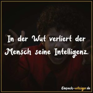 In der Wut verliert der Mensch seine Intelligenz.