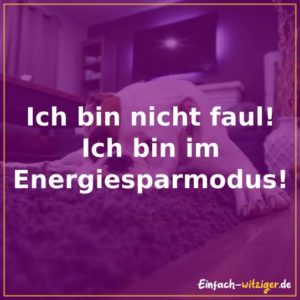 Ich bin nicht faul! Ich bin im Energiesparmodus
