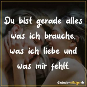 Du bist gerade alles was ich brauche, was ich liebe und was mir fehlt.