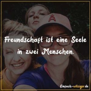 Freundschaft ist eine Seele in zwei Menschen.