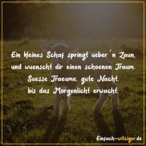 Ein kleines Schaf springt übern Zaun und wünscht dir einen schönen Traum. süße Träume, gute Nacht, bis das Morgenlicht erwacht.