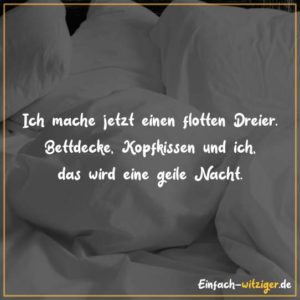 Ich mache jetzt einen flotten Dreier. Bettdecke, Kopfkissen und ich, das wird eine gute Nacht.
