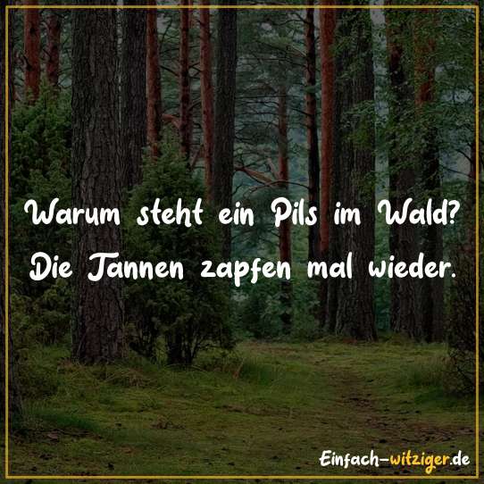 Warum steht ein Pils im Wald? Die Tannen zapfen mal wieder.