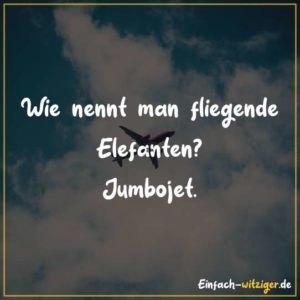 Wie nennt man einen fliegenden Elefanten? Jumbojet.