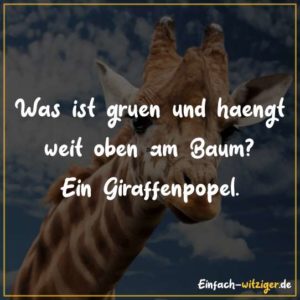 Was ist grün und hängt weit oben am Baum? Ein Giraffenpopel.